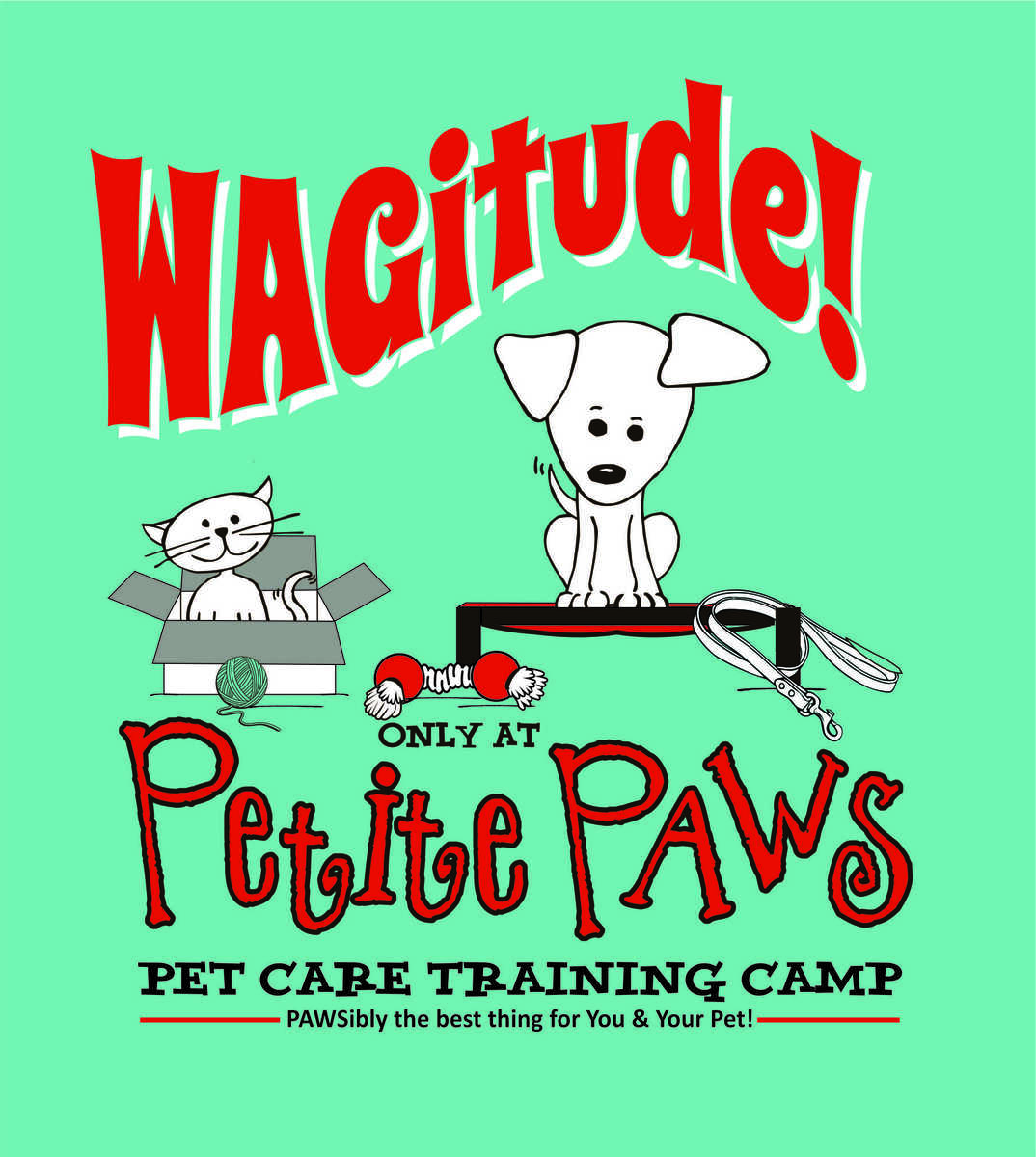Petite Paws Training camp.jpg